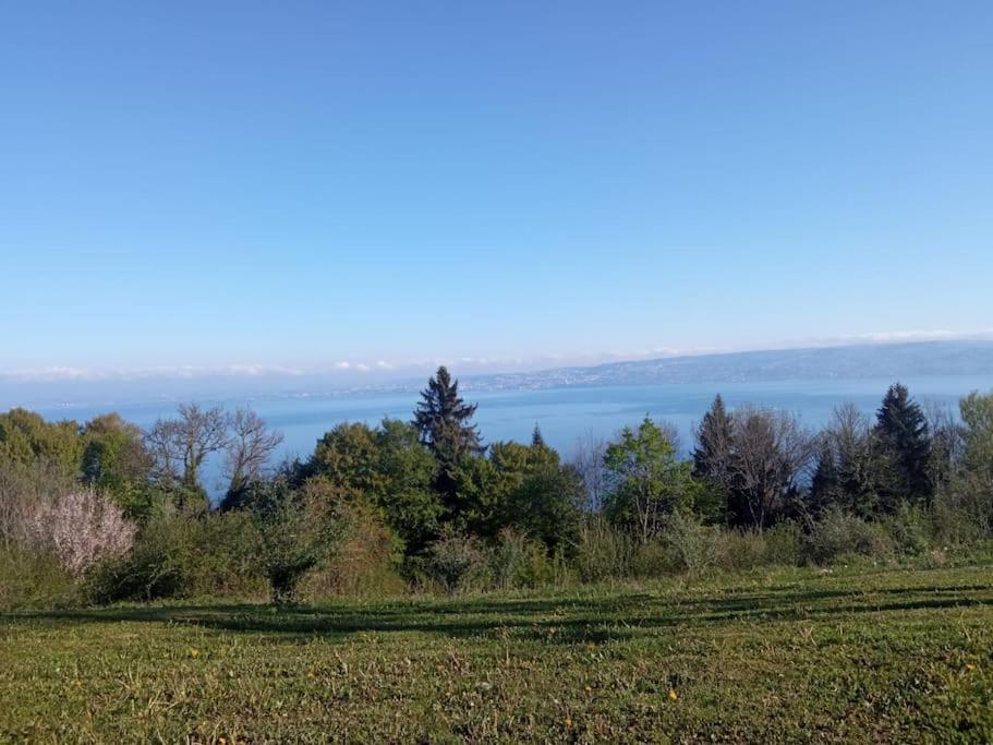 Lugrin Proche Du Lac Et Montagne Exteriör bild